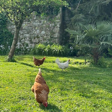 B&B Antico Fienile Gorizia Kültér fotó