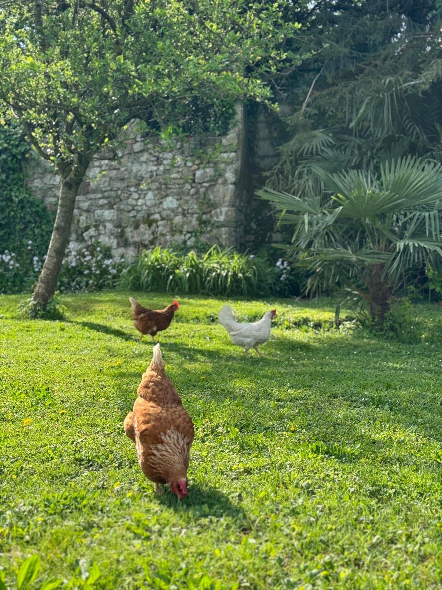 B&B Antico Fienile Gorizia Kültér fotó